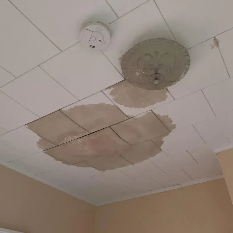 Ceiling Water Damage Repair in Union County, OR