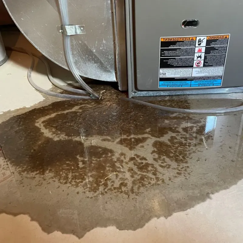 Pipe Burst and Leak Restoration in Union County, OR